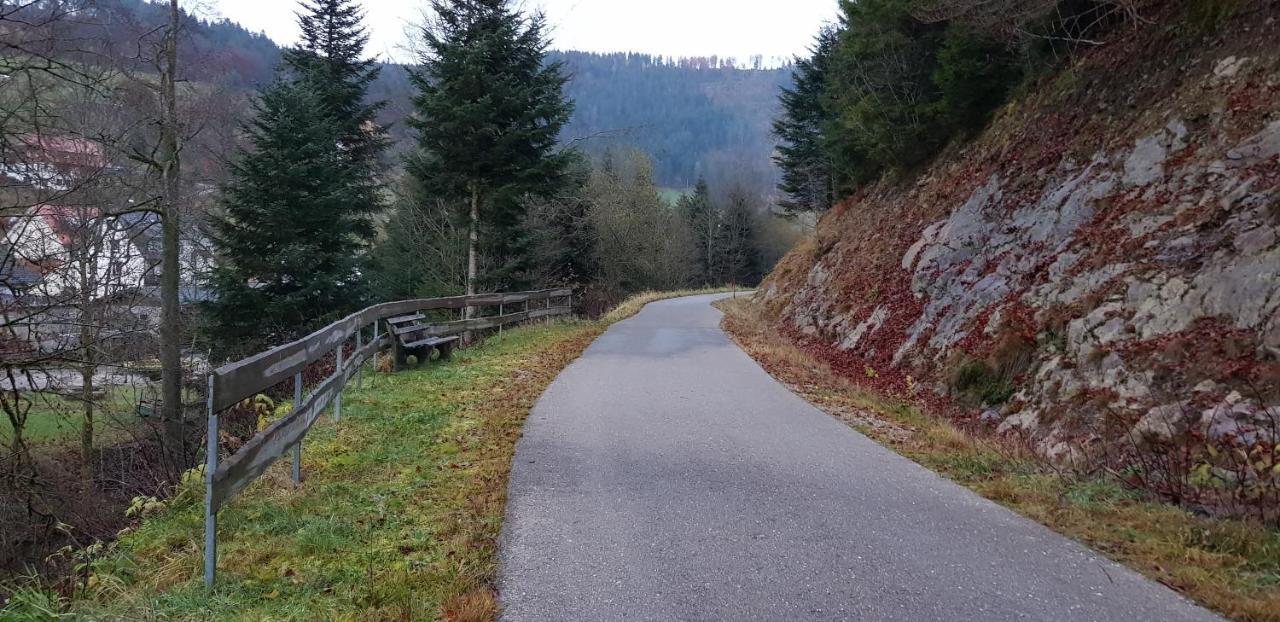 Ferienwohnung "Hirschlein" Im Schwarzwald Baiersbronn Zewnętrze zdjęcie