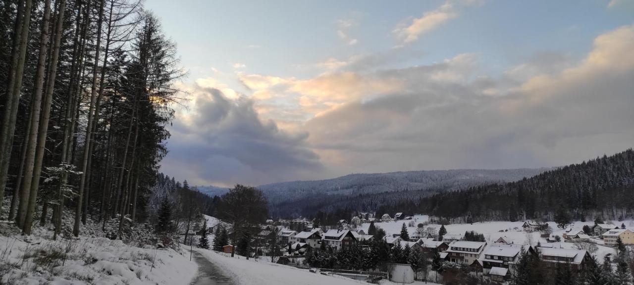 Ferienwohnung "Hirschlein" Im Schwarzwald Baiersbronn Zewnętrze zdjęcie