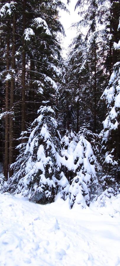 Ferienwohnung "Hirschlein" Im Schwarzwald Baiersbronn Zewnętrze zdjęcie