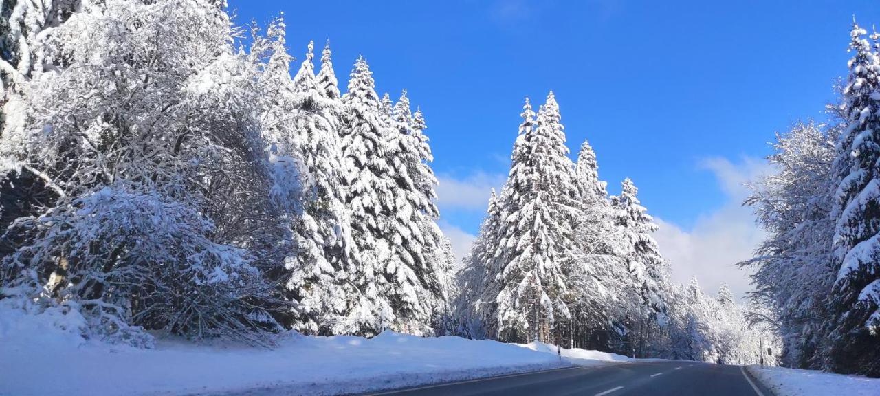 Ferienwohnung "Hirschlein" Im Schwarzwald Baiersbronn Zewnętrze zdjęcie