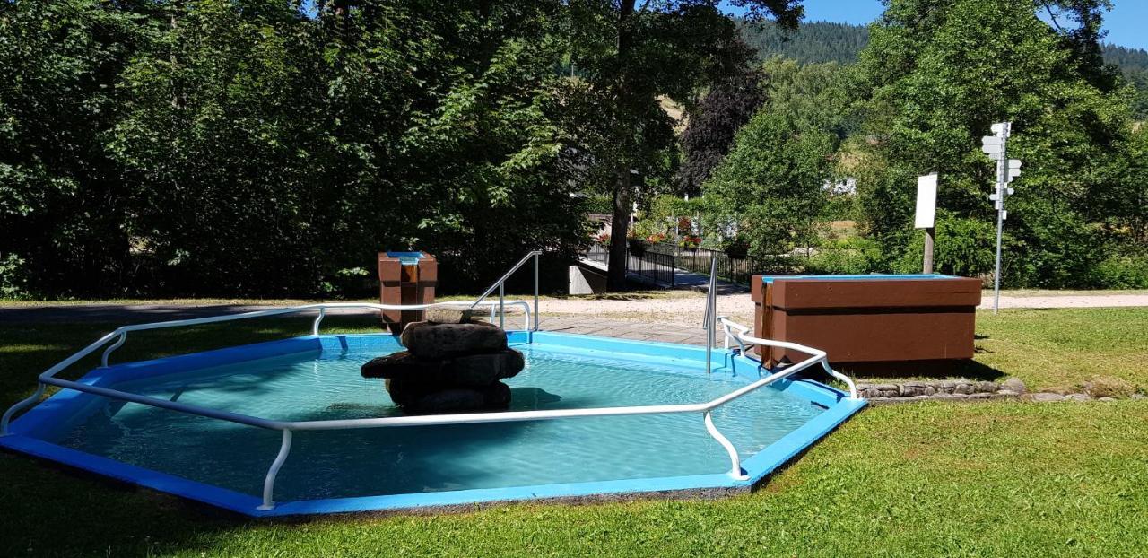 Ferienwohnung "Hirschlein" Im Schwarzwald Baiersbronn Zewnętrze zdjęcie
